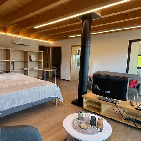 Kitterlelodge Suite 1 A 4 Personnes Avec Vue Apartment Guebwiller
