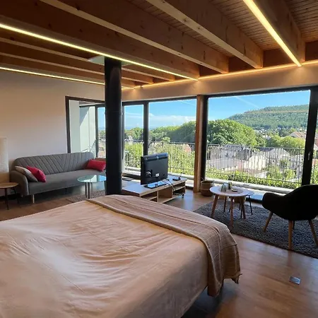 Kitterlelodge Suite 1 A 4 Personnes Avec Vue * Guebwiller