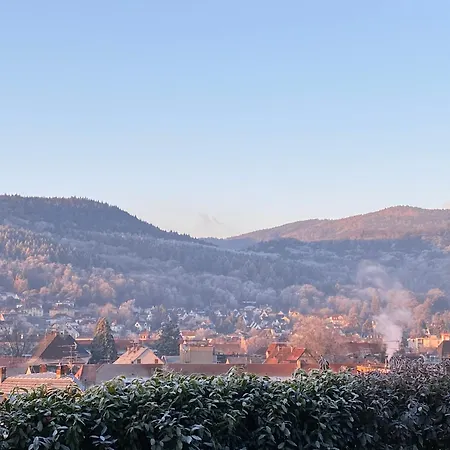 Kitterlelodge 1 à 4 Personnes Avec Vue * Guebwiller