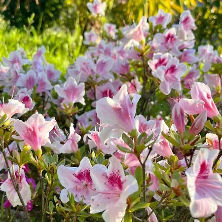 Kitterlelodge 1 à 4 Personnes Avec Vue Apartamento *